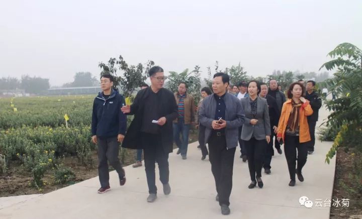 云臺冰菊基地發(fā)生了什么？一批批領(lǐng)導(dǎo)專家團(tuán)隊(duì)前來！
