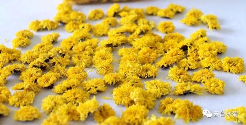 2018，種下希望，靜待花開！